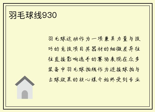 羽毛球线930